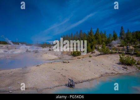 Pool di colorfully acqua colorata che punteggiano il paesaggio della Norris Geyser Basin nel Parco Nazionale di Yellowstone di una splendida giornata di sole e cielo blu. Foto Stock