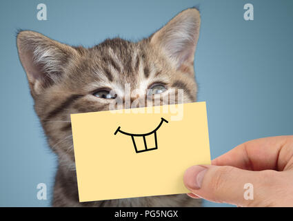 Happy crazy cat ritratto con la divertente sorriso su sfondo blu Foto Stock