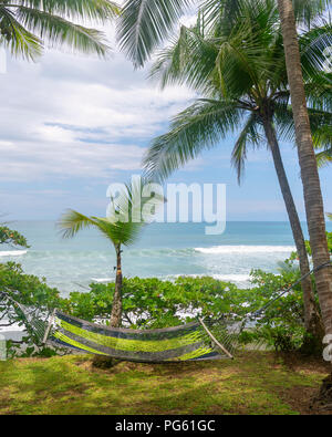 Amaca, Parco Nazionale di Corcovado, Osa Peninsula, Costa Rica. Foto Stock