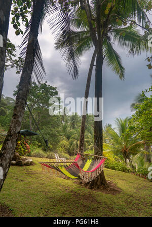 Amaca, Parco Nazionale di Corcovado, Osa Peninsula, Costa Rica. Foto Stock