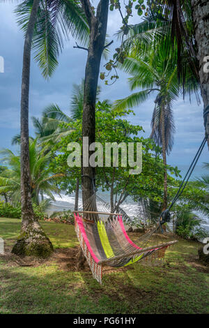 Amaca, Parco Nazionale di Corcovado, Osa Peninsula, Costa Rica. Foto Stock