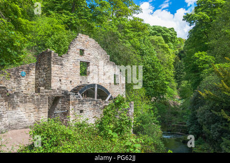 Un acqua abbandonato mill house tra gli alberi e i cespugli in Jesmond Dene, Newcastle, Inghilterra Foto Stock
