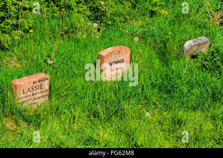 Cani di lapidi in Jesmond Dene, Newcastle, England, Regno Unito Foto Stock