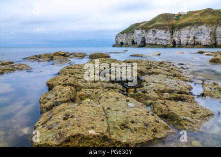 Thornwick Baia a Nord della costa dello Yorkshire, Inghilterra, Regno Unito Foto Stock