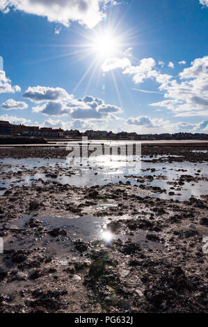 Inverno il sole illumina le rocce e le piscine di acqua in Margate, England, Regno Unito Foto Stock