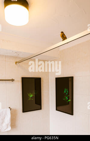 Un bagno nella struttura Nayland Hotel Rock, un merlo ripiene su una rampa di doccia, immagini delle piante contro sfondi neri, Margate, England, Regno Unito Foto Stock