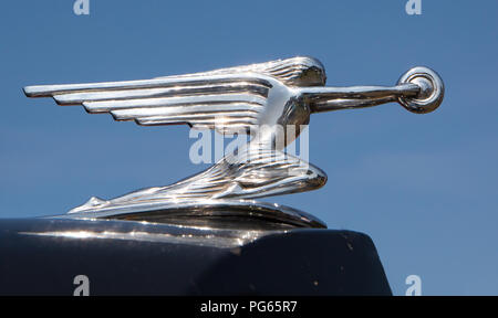 MATTHEWS, NC - 4 Settembre 2017: primo piano di un 1936 Packard ornamento del cofano sul display al Matthews Reunion Auto & Moto Visualizza. Foto Stock