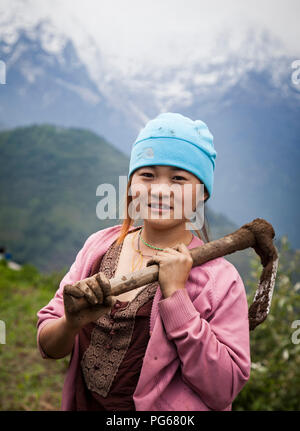 Agricoltore la raccolta nel suo campo di mais con gamma Annapurnas a sfondo. Ghandruk. Annapurna trek. Il Nepal Foto Stock