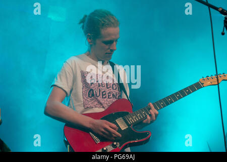La combustione del legno selvaggi Foto Stock