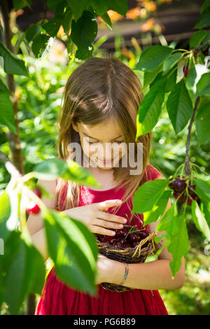 Ritratto di bambina con cesto pieno di ciliegie Foto Stock