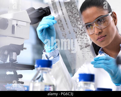 La ricerca genetica, donna scienziato tenendo un foglio con codice genetico, il make-up genetico Foto Stock