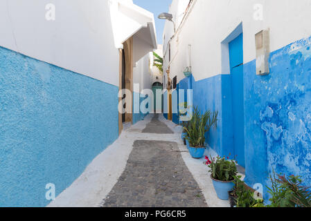 Strette stradine della Kasbah des Oudaia a Rabat, la città capitale del Marocco. Tutte le pareti della medina sono dipinte di bianco e blu Foto Stock