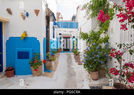 Strette stradine della Kasbah des Oudaia a Rabat, la città capitale del Marocco. Tutte le pareti della medina sono dipinte di bianco e blu Foto Stock