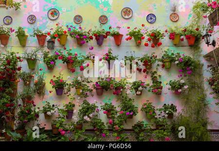 Cordovan tipico patio con la parete ricoperta da bellissimi fiori nei loro vasi. Foto Stock