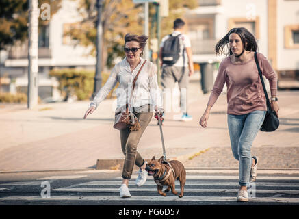 Due donne con un cane fretta attraverso un crossingwalk. Foto Stock