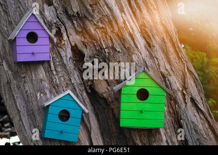 Un sacco di legno colorato birdhouses su un albero contro la svasatura di estate Foto Stock