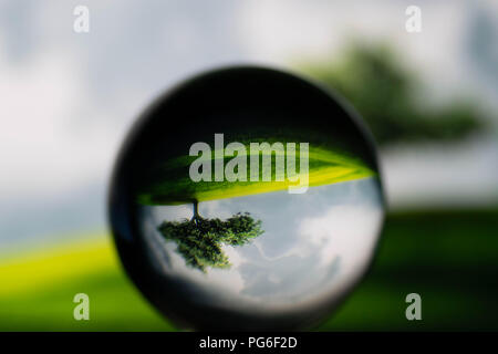 Un cristallo trasparente sfera vith splendida vista Foto Stock