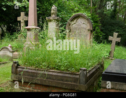 Tomba Infestata da Erbacce a Londra nel cimitero di Highgate Foto Stock