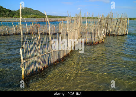 Tradizionale pesce Tsonga trappola costruita nel Kosi bay estuary, Tongaland, Sud Africa Foto Stock