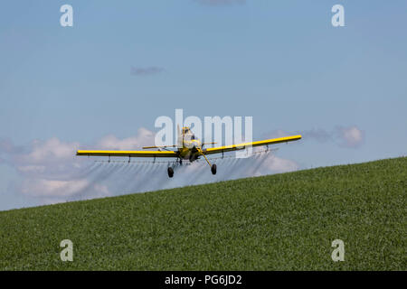 Crop duster piano di volo e la spruzzatura su colture nella regione Palouse dello stato di Washington Foto Stock