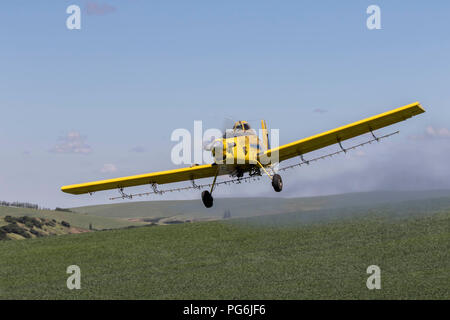 Crop duster piano di volo e la spruzzatura su colture nella regione Palouse dello stato di Washington Foto Stock