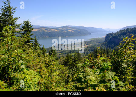 Vista del Columbia River Gorge dal punto Chanticleer (Portland donna stato Forum Punto Panoramico) Foto Stock