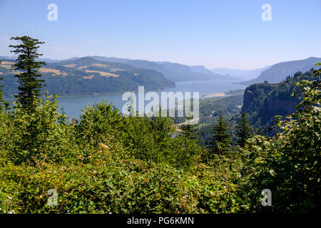 Vista del Columbia River Gorge dal punto Chanticleer (Portland donna stato Forum Punto Panoramico) Foto Stock