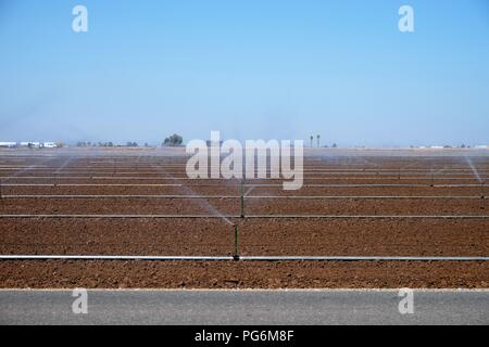 Righe di irrigatori irrigazione un campo agricolo in Imperial County, California, Stati Uniti d'America. Foto Stock