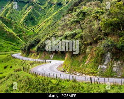 Nuova Zelanda, Isola del nord, regione Manawatu-Wanganui, mondo dimenticato autostrada Foto Stock