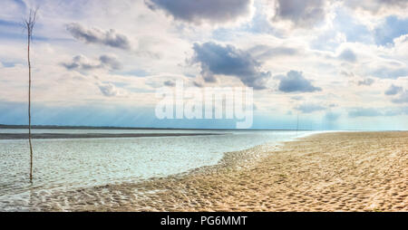 Bassa marea a mare di Wadden nel nord della Germania, con una fila di alberi per misurare il livello di acqua per attraversare l'oceano per Isole Frisone Orientali Foto Stock