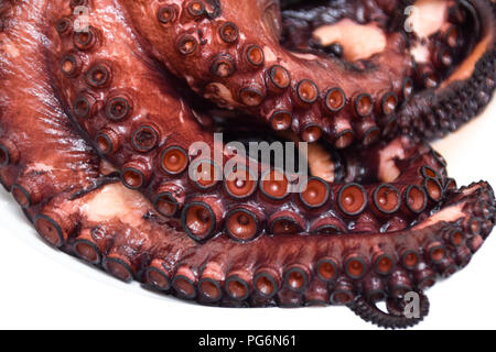 Polipo cotti pulpo a feira tipico piatto della Galizia Foto Stock