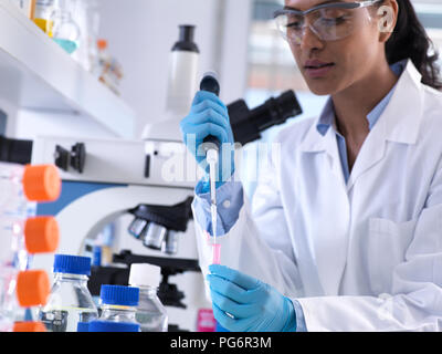 La ricerca genetica, donna scienziato il pipettaggio di DNA o campione chimico in una fiala eppendorf, analisi in laboratorio Foto Stock