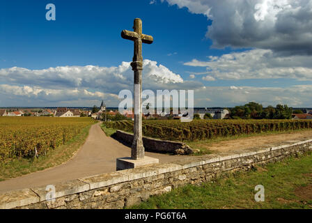 Vigneto Romaneé-Conti Stone marcatore a croce con Romanée-St-Vivant nel paesaggio dietro, Vosne-Romanée, Cote d'Or, Francia Foto Stock