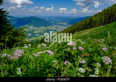 In Germania, in Baviera, Baviera, Chiemgau, Unternberg, visualizzare a Ruhpolding Foto Stock