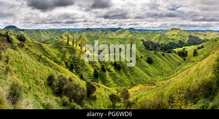 Nuova Zelanda, Isola del nord, Taranaki, paesaggio visto dal mondo dimenticato autostrada Foto Stock