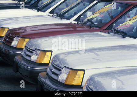 Storico 1988 automobili nuove (©FORD MOTOR CO 1988) allineati in file esterni concessionaria auto molto Foto Stock