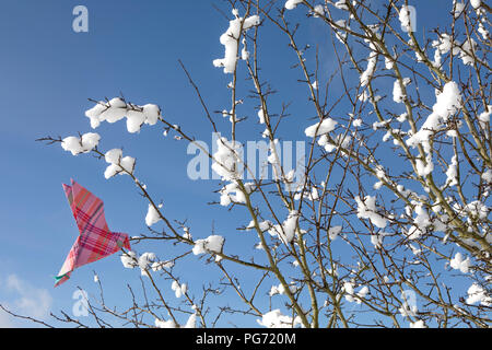 Origami bird su ramoscelli con la neve Foto Stock