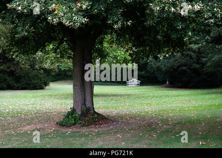 Un tradizionalmente sagomato Lutyens a 3 posti panchina realizzata in legno duro Cornis in una grande casa di campagna inglese nel Nottinghamshire. Foto Stock