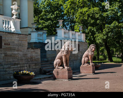 In prossimità della parte anteriore sulla scalinata del Palazzo Kochubey ci sono due sculture di leoni di pietra calcarea gialla in estate in una giornata di sole in città o Foto Stock