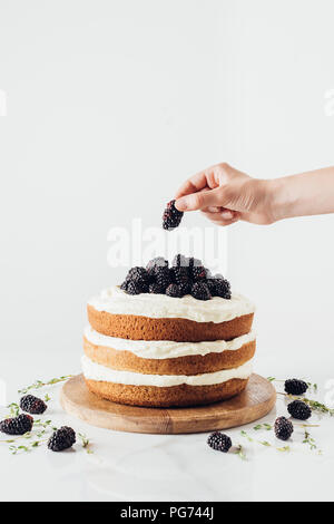 Ritagliato colpo di donna decorazione di gustosa torta blackberry sul piedistallo di vetro su bianco Foto Stock