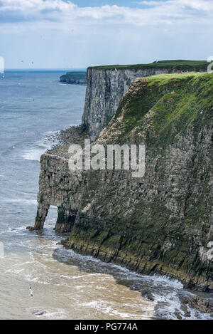 Bempton Cliffs e arco in una giornata di sole, North Yorkshire Foto Stock