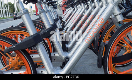 Agosto 2018: Biciclette da un ben noto bike sharing company allineato all'ingresso del Torino la stazione di Porta Susa. Agosto 2018 a Torino Foto Stock