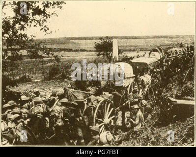 "Illinois nella guerra mondiale; un record illustrato preparato con la coöperation e sotto la direzione dei dirigenti dello Stato militari e di organizzazioni civili" (1920) Foto Stock