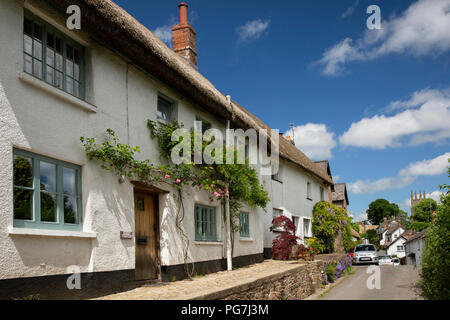 Regno Unito, Inghilterra, Devon, Sampford Courtenay, Banca Cottage, idilliaco cottage con il tetto di paglia con rose attorno alla porta Foto Stock