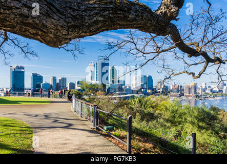 Rami sfrondato indicando l inverno australe, Perth, Western Australia Foto Stock