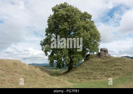 Dryslwyn Castello è situato su un promontorio roccioso nella valle Towy tra Llandeilo e Carmarthen, Pembrokeshire, Galles Foto Stock