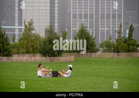 I visitatori potranno gustarsi il prato in una leggera pioggia sul aperto recentemente Pier 3 nel ponte di Brooklyn Park a New York Sabato, Agosto 18, 2018. (Â© Richard b. Levine) Foto Stock