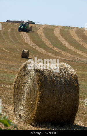 Un trattore e la macchina compattatrice xollecting e fieno baiing vicino Najac, Aveyron, Occitanie, Francia, Europa Foto Stock