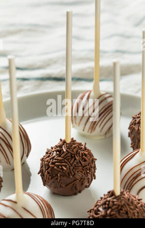 In casa dolce al cioccolato e vaniglia Cake Pops su una piastra Foto Stock