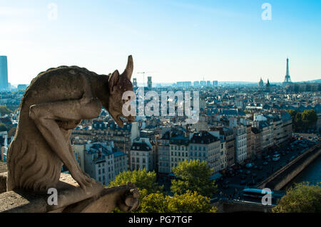 Notre Dame de Paris Cattedrale di Notre Dame Parigi Francia Foto Stock